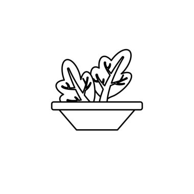 Kase çizgisi biçiminde sebze bahçesi