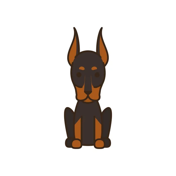 Carino piccolo cane doberman riempire icona stile — Vettoriale Stock