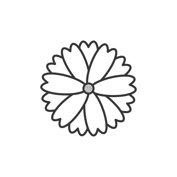 Diseño de líneas de iconos de flores aisladas — Archivo Imágenes Vectoriales