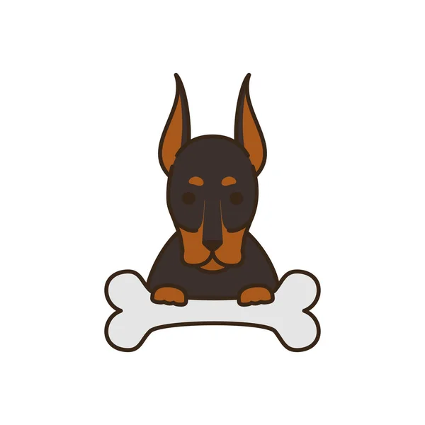 Cute little dog doberman with bone fill style icon — Wektor stockowy