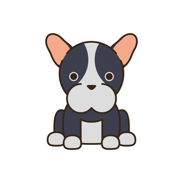 Cute little dog french bulldog fill style icon — Vetor de Stock