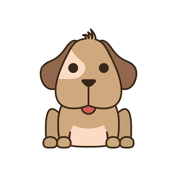 Cute little dachshund dog fill style icon — Stok Vektör