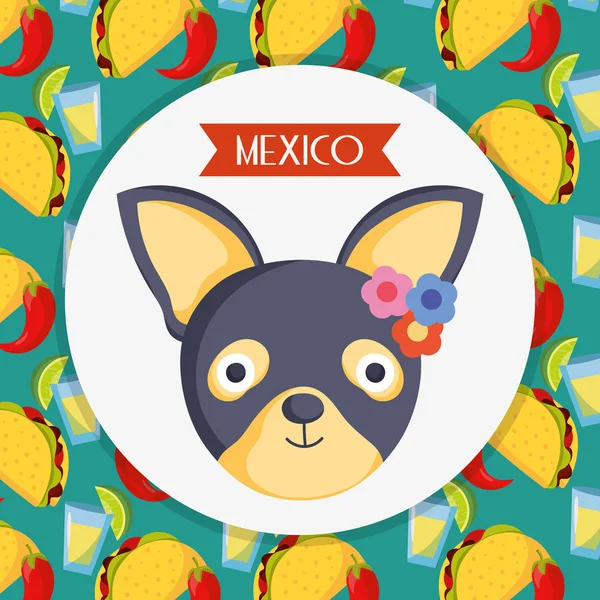 Cute dog with flowers and food background mexico traditional event decoration card — Stockvektor