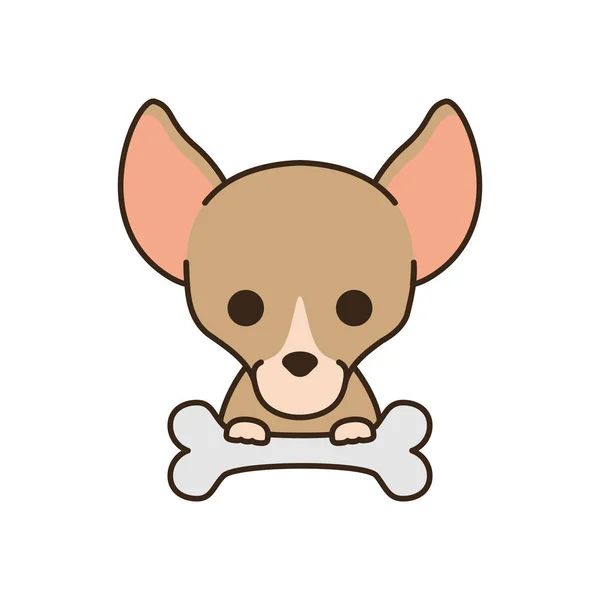 Cute little dog chihuahua with bone fill style icon —  Vetores de Stock