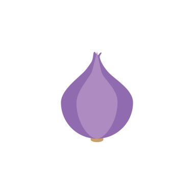 vegetable purple onion flat style icon