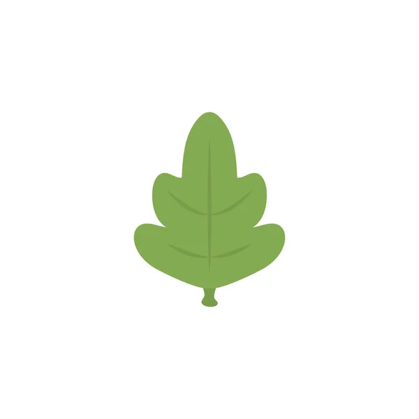 Vegetable chard flat style icon — Stockvector