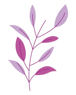 İzole yaprakları tasarım vektör illüstrasyon