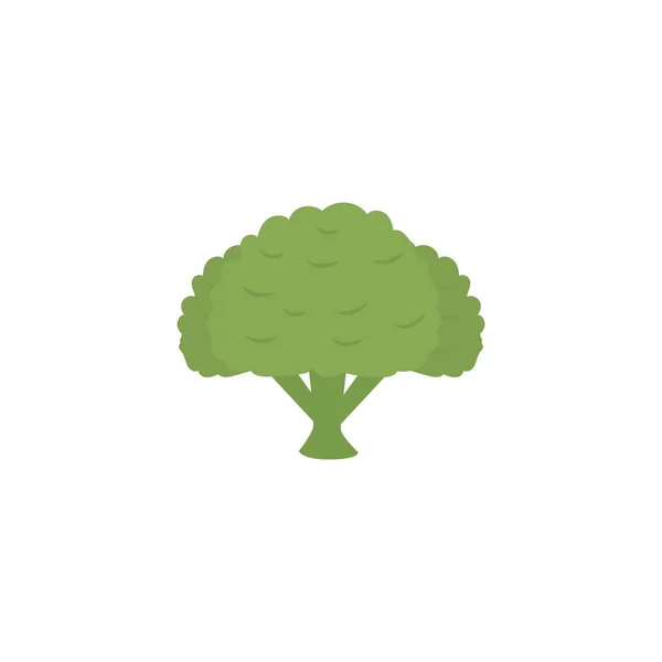 Vegetable broccoli flat style icon — 스톡 벡터