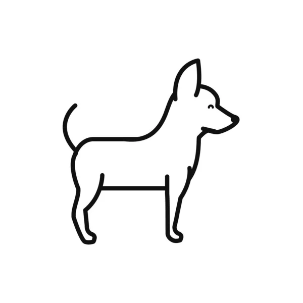 Elszigetelt kutya ikon vonal vektor tervezés — Stock Vector
