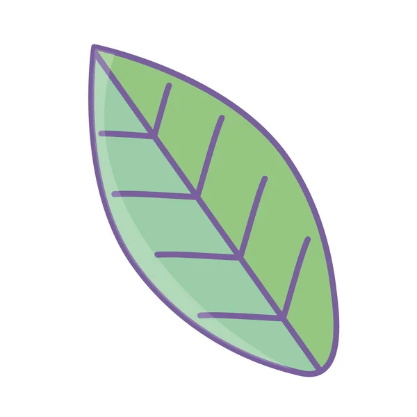Векторная иллюстрация векторного дизайна изолированных листьев — стоковый вектор