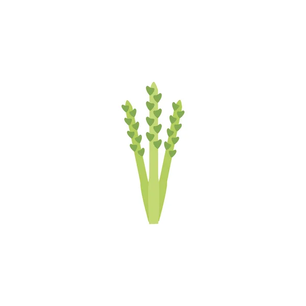 Vegetable asparagus flat style icon — Stock Vector