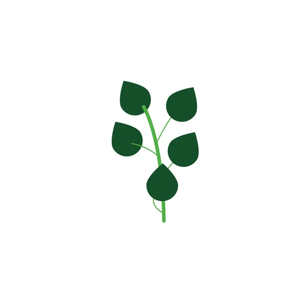 Follaje de ramas hoja de la naturaleza icono plano — Vector de stock