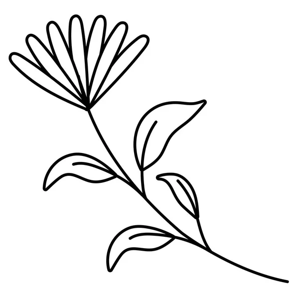 Ilustrace vektorového konstrukčního vektoru izolované květiny — Stockový vektor