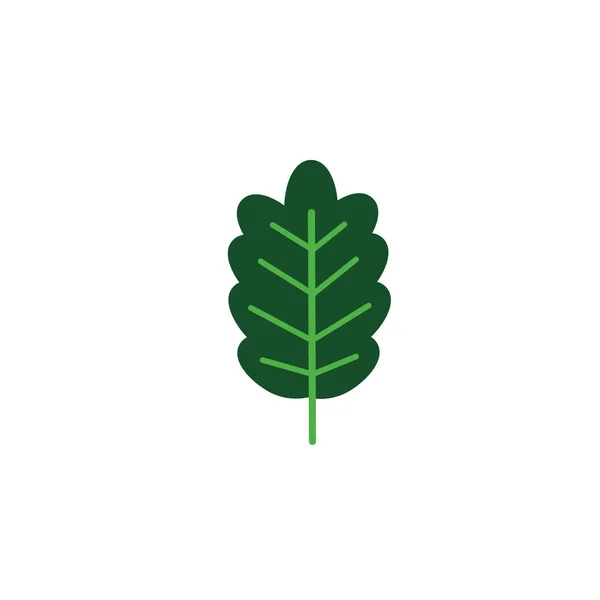 オークの葉自然葉のアイコンフラット — ストックベクタ