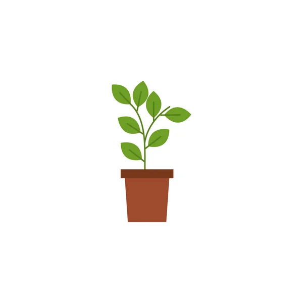 Isolated plant inside pot flat design — 스톡 벡터