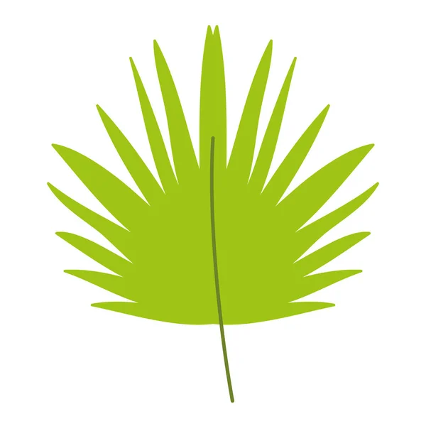 Diseño de hojas tropicales y de verano — Vector de stock