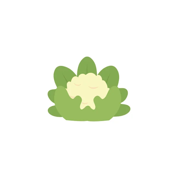 Icono vegetal de estilo plano más cauliviano — Vector de stock