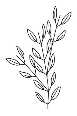 İzole yaprakları tasarım vektör illüstrasyon