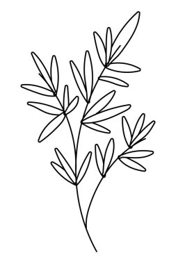 İzole yaprak tasarım vektör illüstrasyon