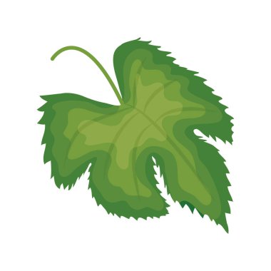 egzotik ve tropikal yaprak bitki