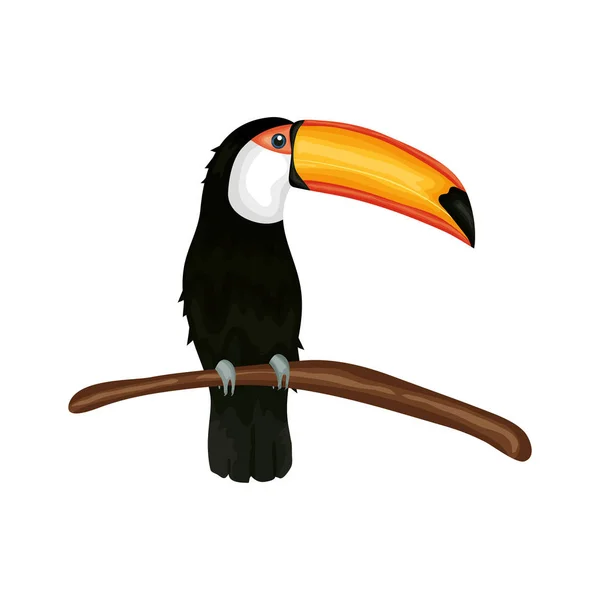 Toucan természet tervezése vektor illusztráció — Stock Vector