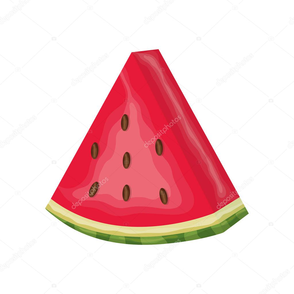 fresh watermelon fruit nature icon