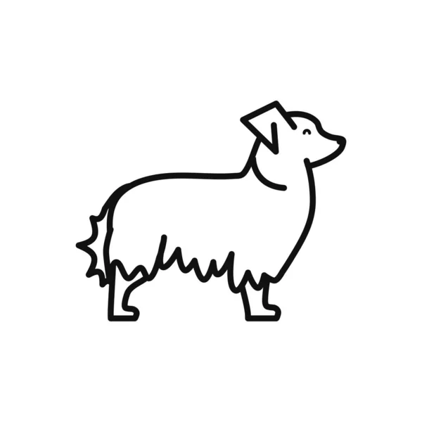 การออกแบบเวกเตอร์เส้นของไอคอนสุนัขแบบแยกแยก — ภาพเวกเตอร์สต็อก