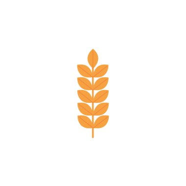 Isolated wheat icon flat design