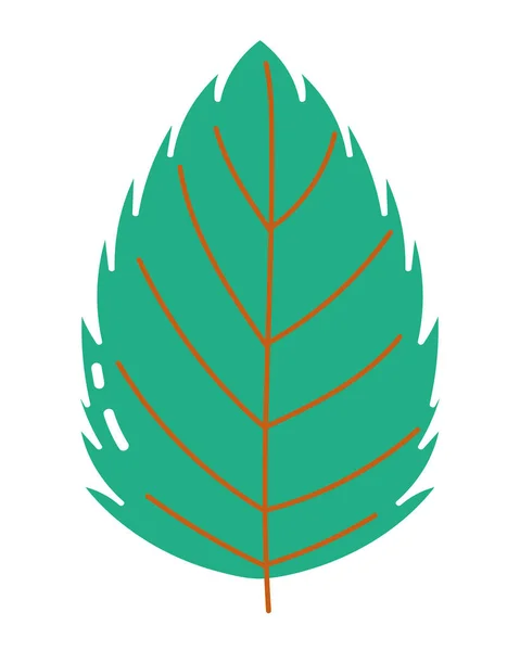 Isolated leaf vector design vector illustration — Image vectorielle