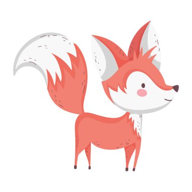 Beyaz arka planda duran büyük kuyruklu şirin tilki.