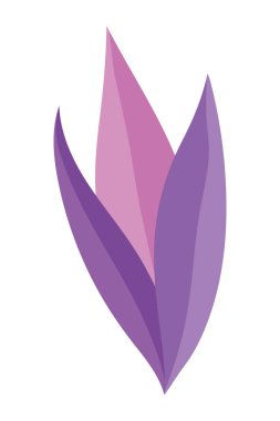 İzole yaprak tasarım vektör illüstrasyon