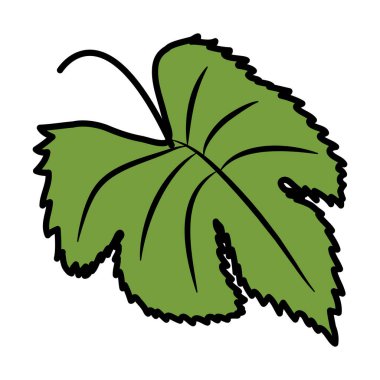 egzotik ve tropikal yaprak bitki