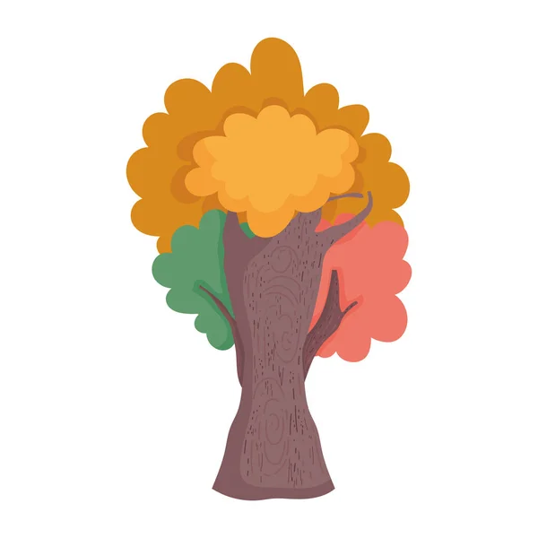 Листя дерева ботанічна природа осінь — стоковий вектор