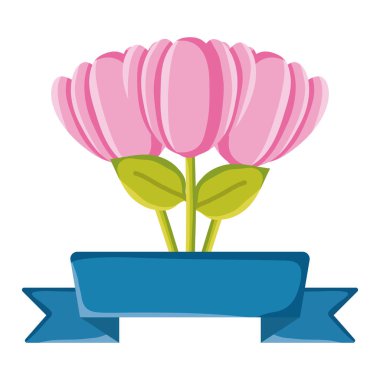 Kurdele çerçeveli gül bahçesi