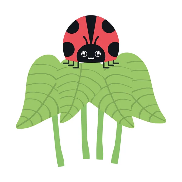 Leafs plants garden with ladybug kawaii character — vektorikuva