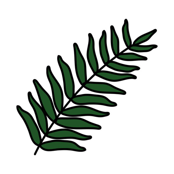 экзотические и тропические листья
