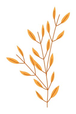 İzole edilmiş yapraklar vektör tasarım çizimi