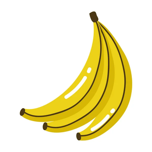 Diseño aislado de vectores de frutas de plátano — Archivo Imágenes Vectoriales