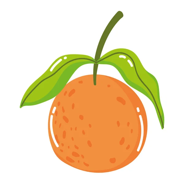 Isolierte orangefarbene Fruchtvektorgestaltung — Stockvektor
