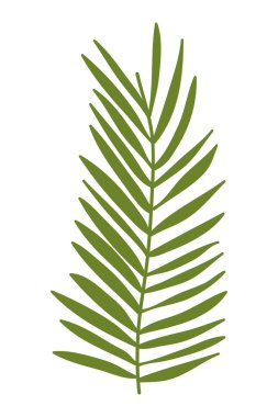 Yaz ve tropik yaprak tasarımı