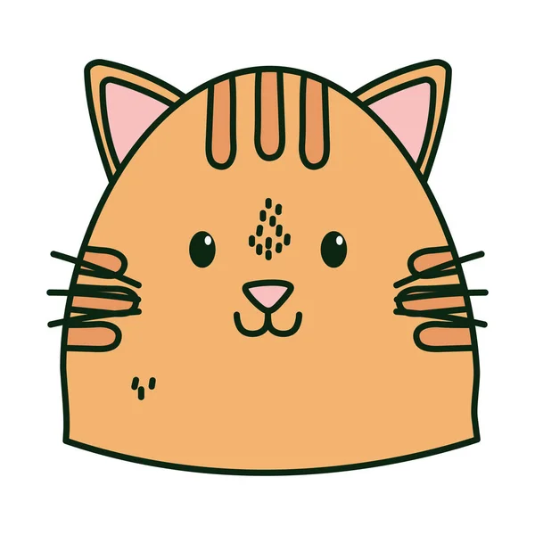 Cute cat face cartoon icon - Stok Vektor