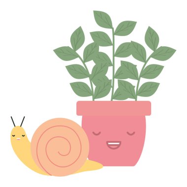 Salyangoz kawaii tarzında seramik kapta ev bitkisi