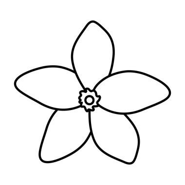 Egzotik ve tropik çiçek bahçesi