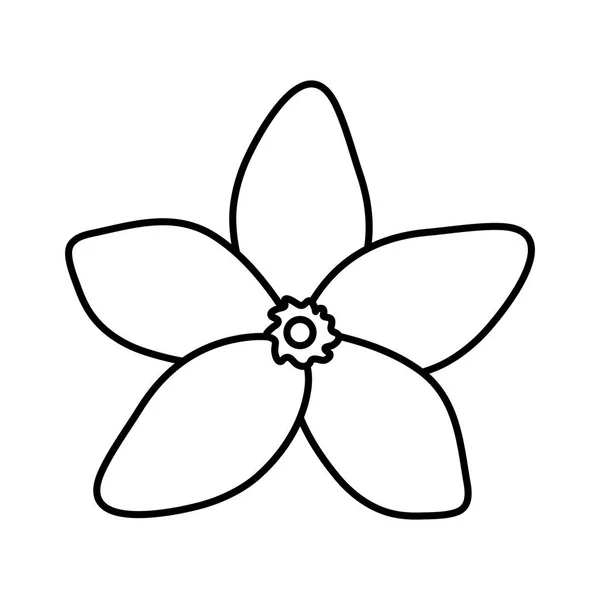 Екзотичний і тропічний квітник — стоковий вектор