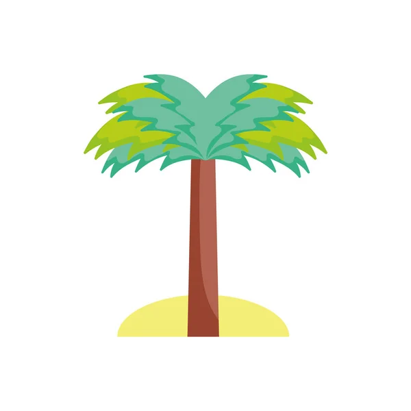 Zomer boom palm vullen stijl pictogram — Stockvector