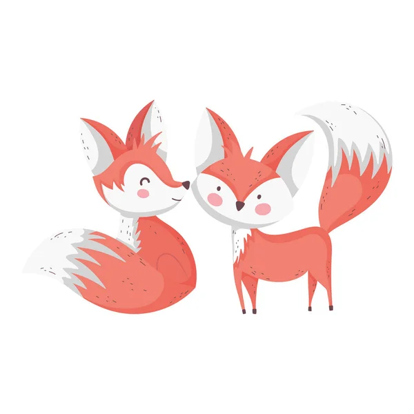 Cute foxes cartoon animals on white background — Stok Vektör