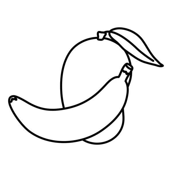 Fruta fresca de mango y plátano — Vector de stock
