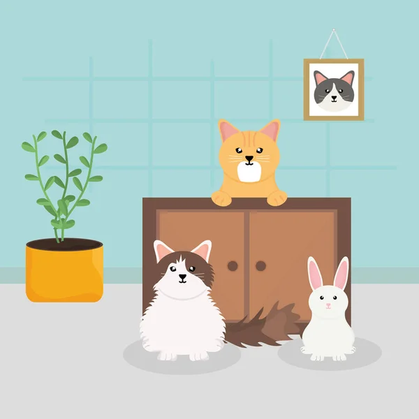 Kedi köpek tavşanı veteriner evcil hayvan bakımında. — Stok Vektör