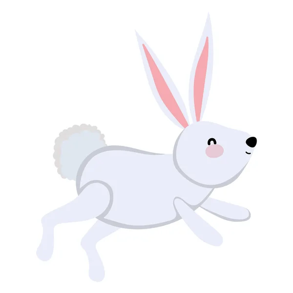 Diseño vectorial de dibujos animados de conejo aislado — Vector de stock