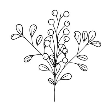 İzole yaprakları tasarım vektör illüstrasyon